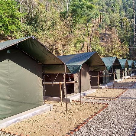 Jungle Stays Chail Zewnętrze zdjęcie