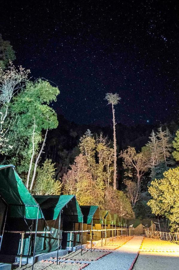 Jungle Stays Chail Zewnętrze zdjęcie